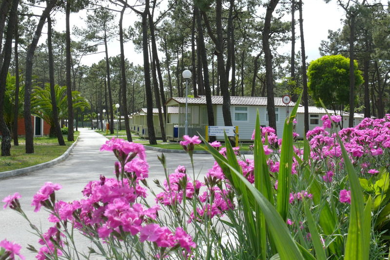 Parque De Campismo Orbitur Gala Hotel Figueira da Foz Exterior photo